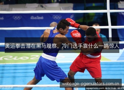 奥运拳击潜在黑马观察，冷门选手靠什么一鸣惊人